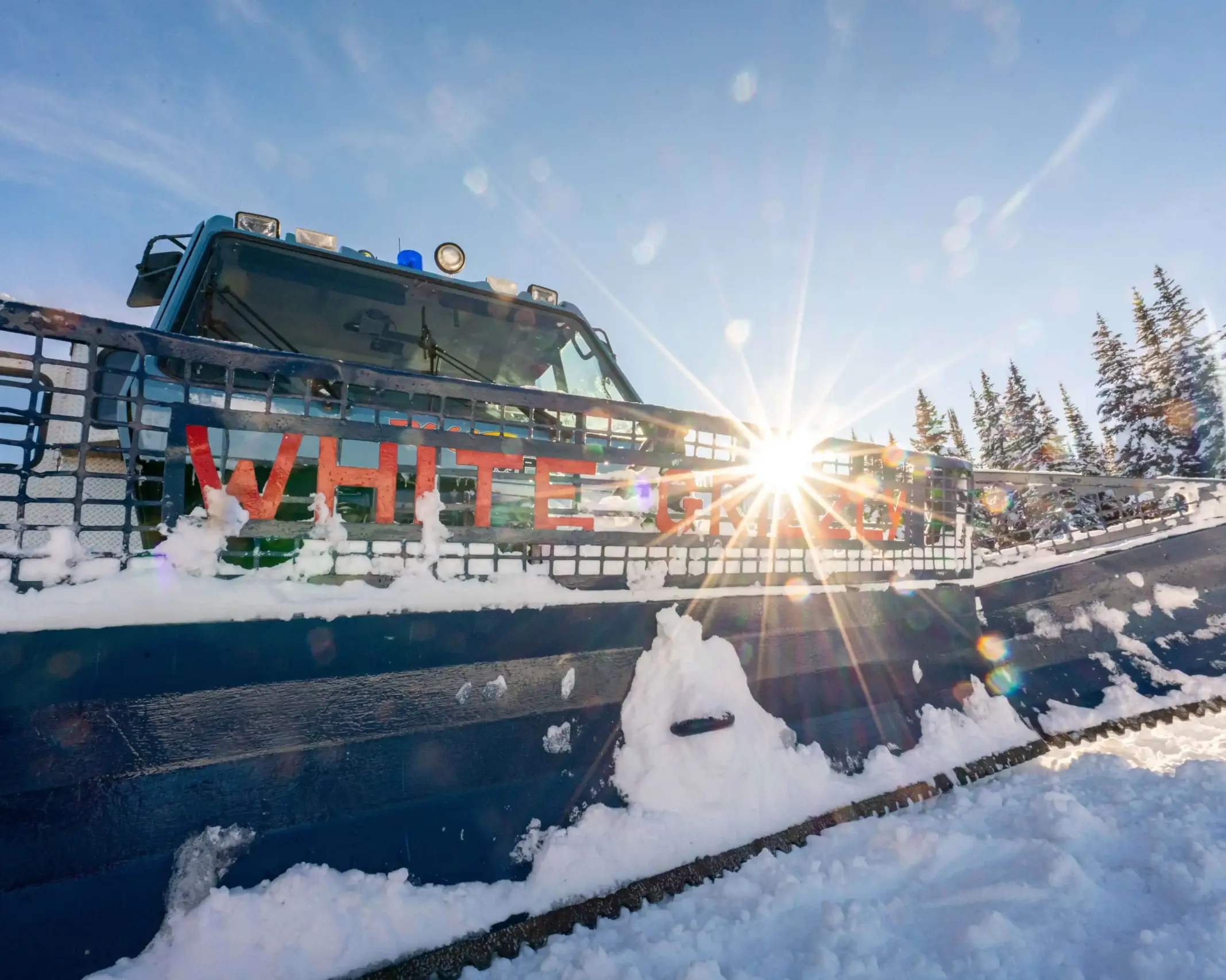 White Grizzly Cat Skiing in BC | The Experience